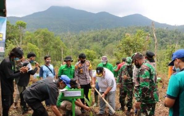 Asisten I Bidang Pemerintahan Dan Kesejahteraan Masyarakat Setda Provinsi Kepulauan Bangka Belitung, Bk.Yulizar Adnan, SE, MM Menanam Pohon Kelapa Pandan Wangi Di Bawah Kaki Gunung Maras Desa Berbura Kecamatan Riau Silip Kabupaten Bangka Dalam Rangka Hari Gunung Internasional, Sabtu, 12 Desember 2020 